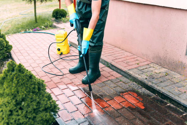 Animal Enclosure Cleaning in Concord, MI